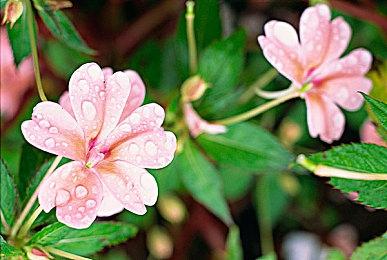 《旷野之息》模式将成为《塞尔达传说》未来的基石